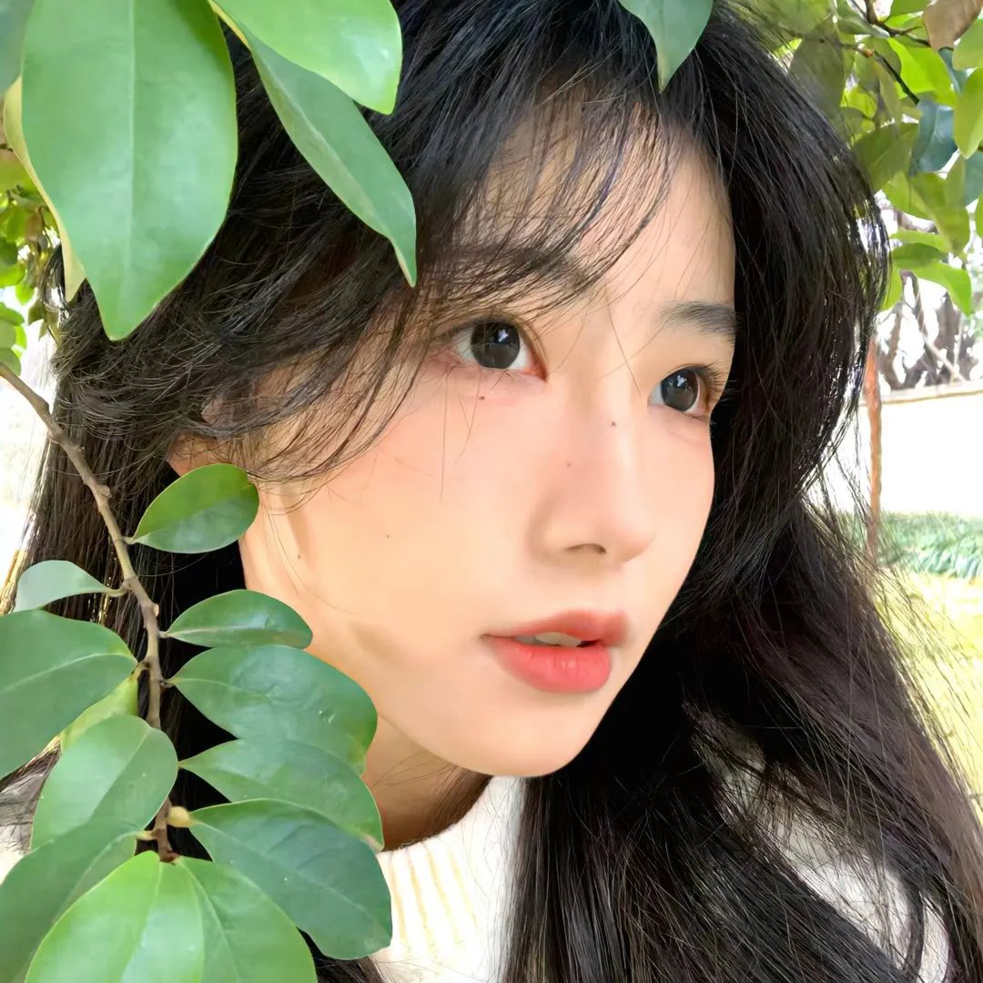一拳鲜师：勇敢的市民